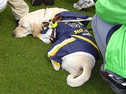 �J��͑ދ��I�H���x�ݒ��̖ӓ���