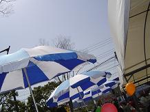 �����̐�