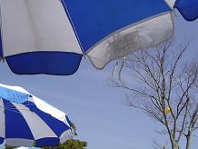 �p���\���Ɛ�